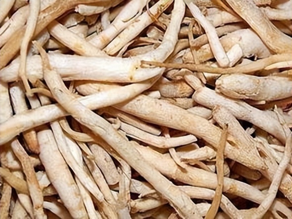 医生|人到50满身是病！ 千古名方一贯煎 滋补肝阴，疏肝降火 专调疑难杂病