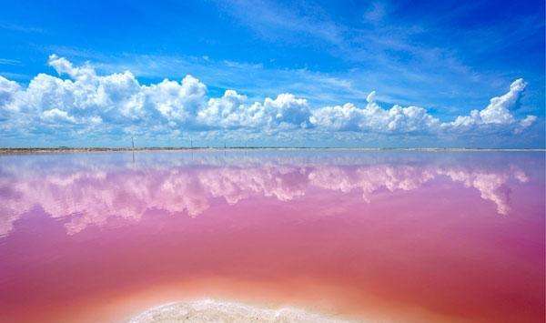 星座女|猫巫先生十二星座周运2022年9.26-10.2:社交丰富,喜好自由