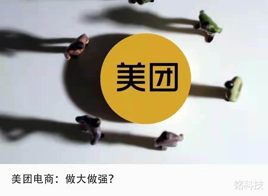 唯品会|自营成热门赛道，继唯品会京东后，阿里抖音齐入局