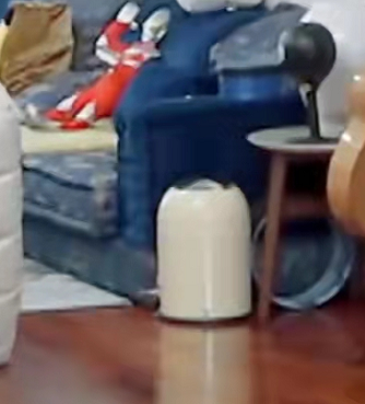 宋丹丹|宋丹丹儿媳家中内景意外曝光，30万沙发摆大厅，2万音响丢墙边