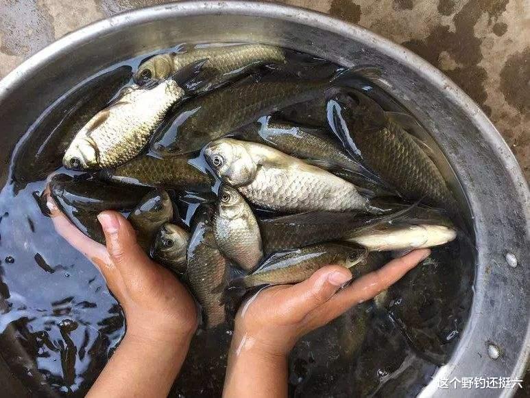 |秋季野钓核心要素!钓不到鱼抱怨前,先自问对水域熟悉程度有几分