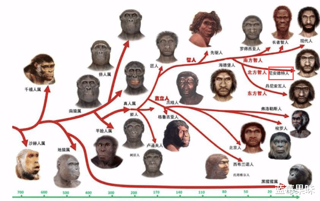 一个人来到世上,是一件概率极低的事情,那么究竟有多低?