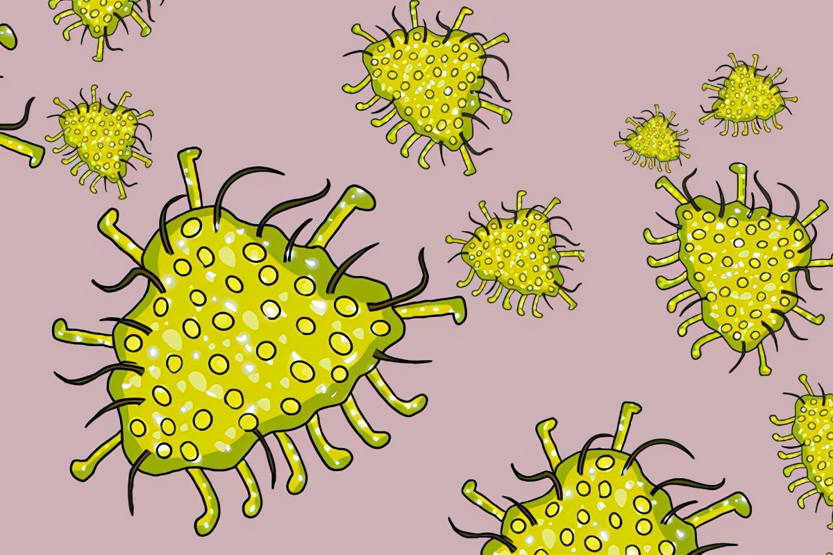 卫生间不用时,门是打开还是关上?好多人没做对,难怪身体不舒服