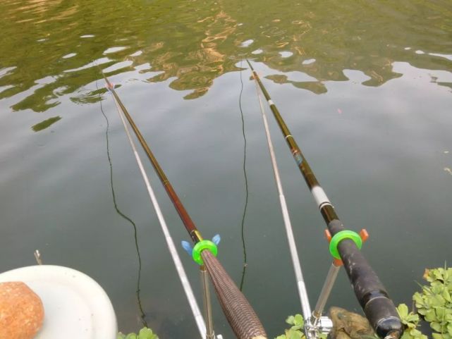 |夏季野钓学会这三招,天再热也不怕,只要鱼进窝,中鱼一条接一条