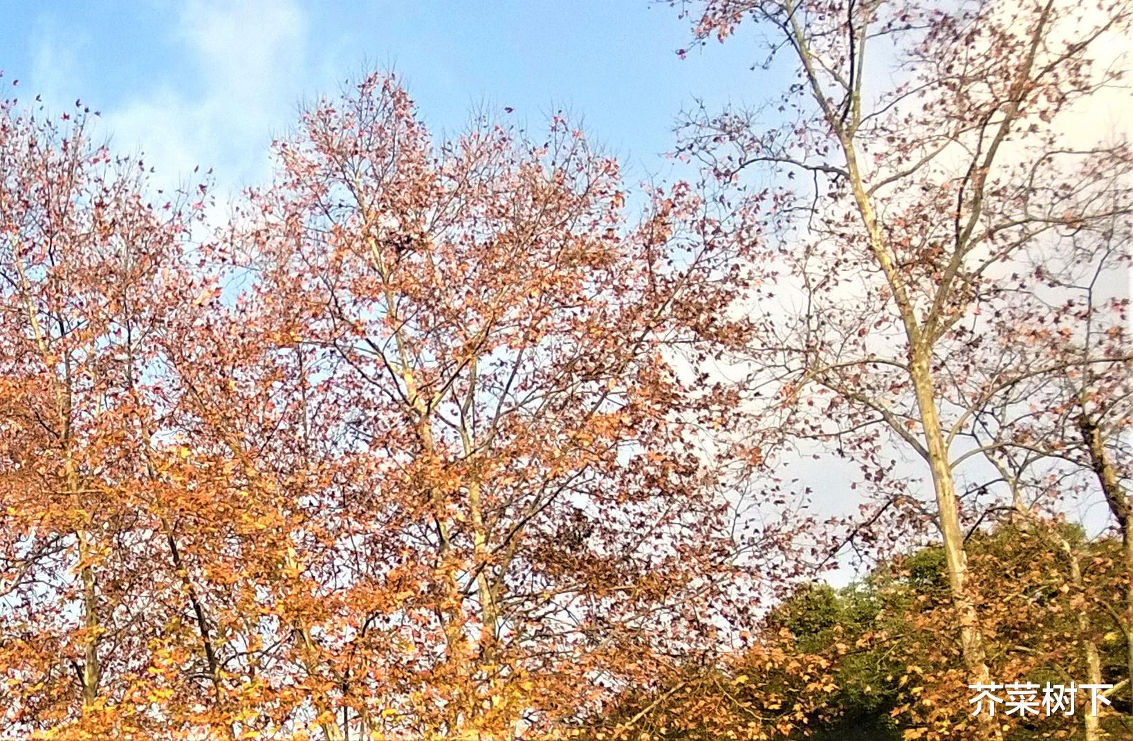 |备胎,也并非毫无是处