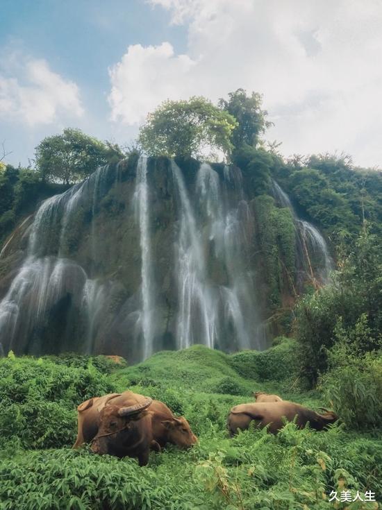 淄博|广西百色这座小城扛下了所有......