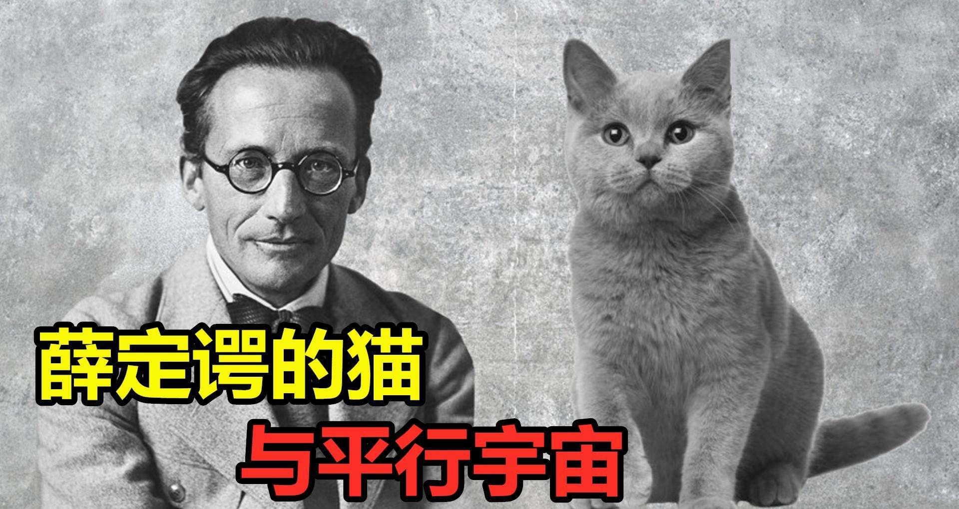 比光速还快一万倍,瞬时的量子纠缠,是否违反了相对论?