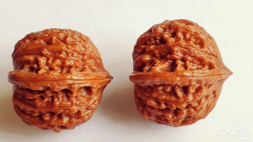 核桃|皮厚肉少,掉一地没人捡,但做手串很好,还能烧碳,价格翻几十倍