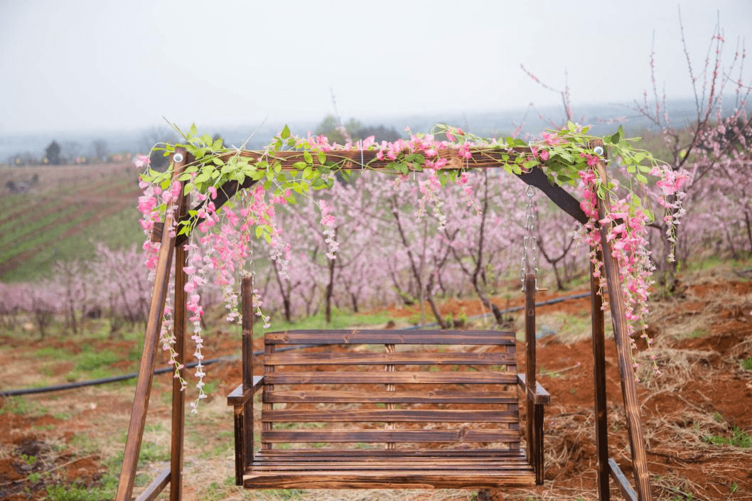 |邂逅平铺·相约桃花节，收获一个最美的中国春天！