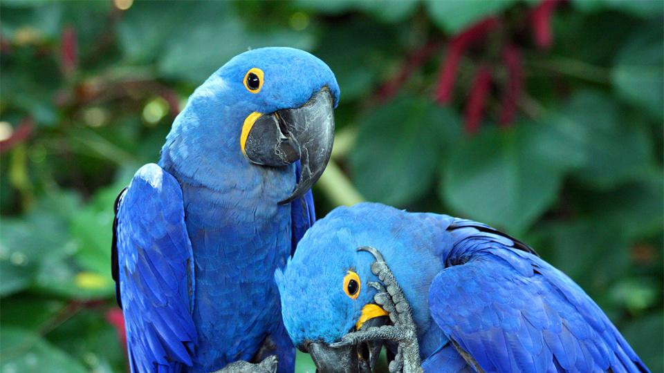 衬衫|天天喊着要辞职的人没走，优秀的人却突然离职，背后的原因戳人心