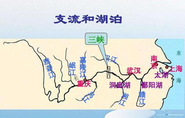 40多年未见过!浙江安吉出现大规模鱼群,太湖鱼怎么到安吉去了?