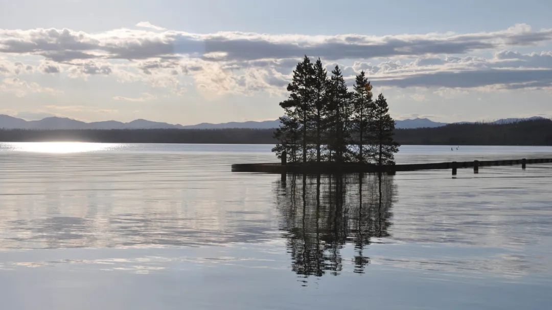 旧爱|六月，红鸾星动，爱情柳暗花明，将邂逅真爱，不离不弃的三个生肖