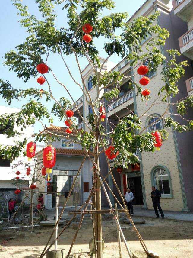 晒晒我家4层别墅,全村最豪华,大门霸气侧漏,估计很多人没见过