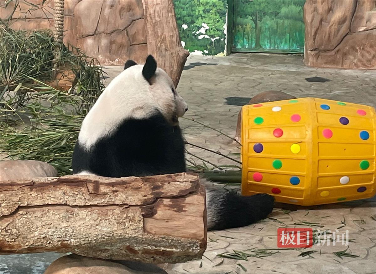 “南宁动物园没有正经动物”,冲上热搜,专家揭秘幕后原因