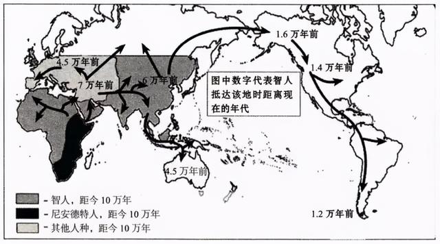 中国人起源于非洲吗?北京猿人是我们的祖先吗?