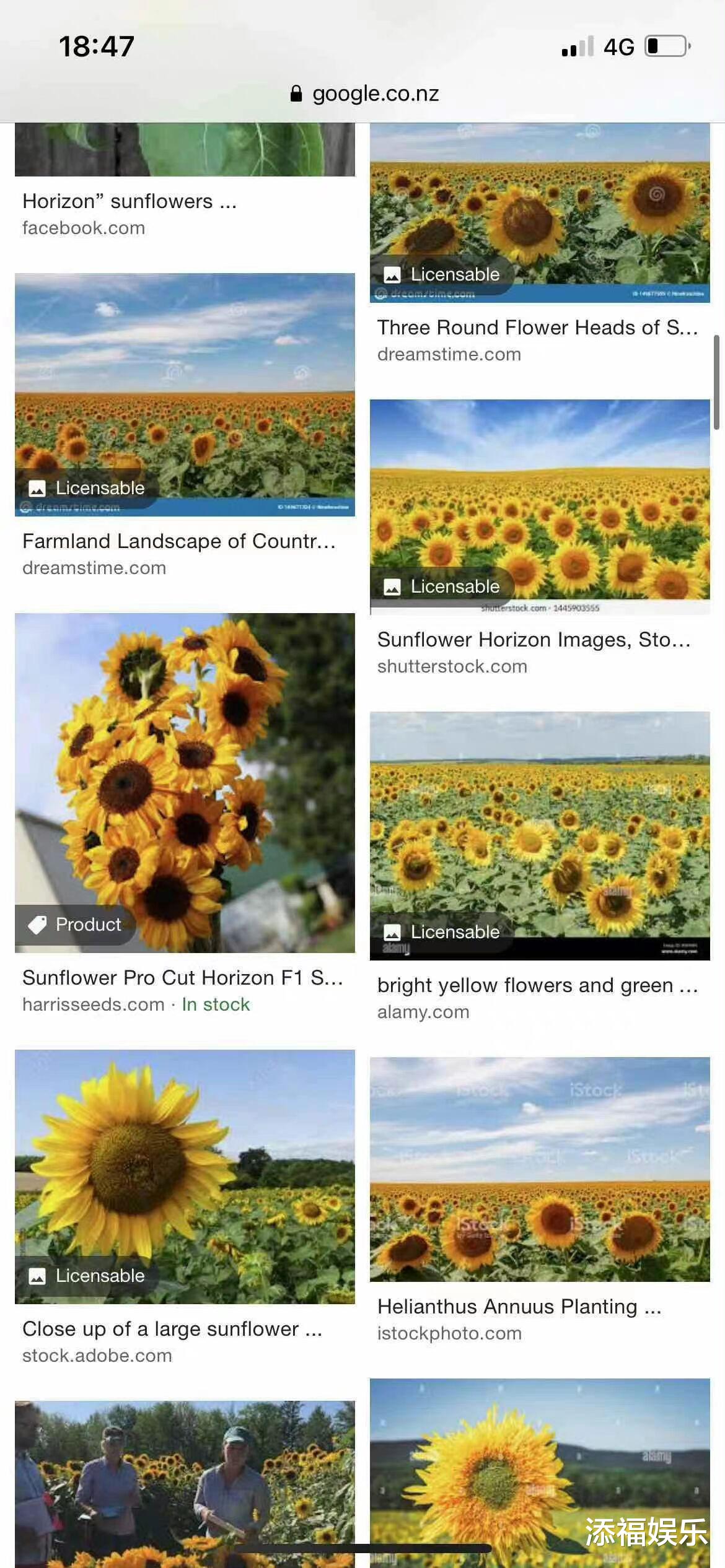王源|王源深夜晒与任敏同框照，还有导演奇怪装扮被认成小汤圆