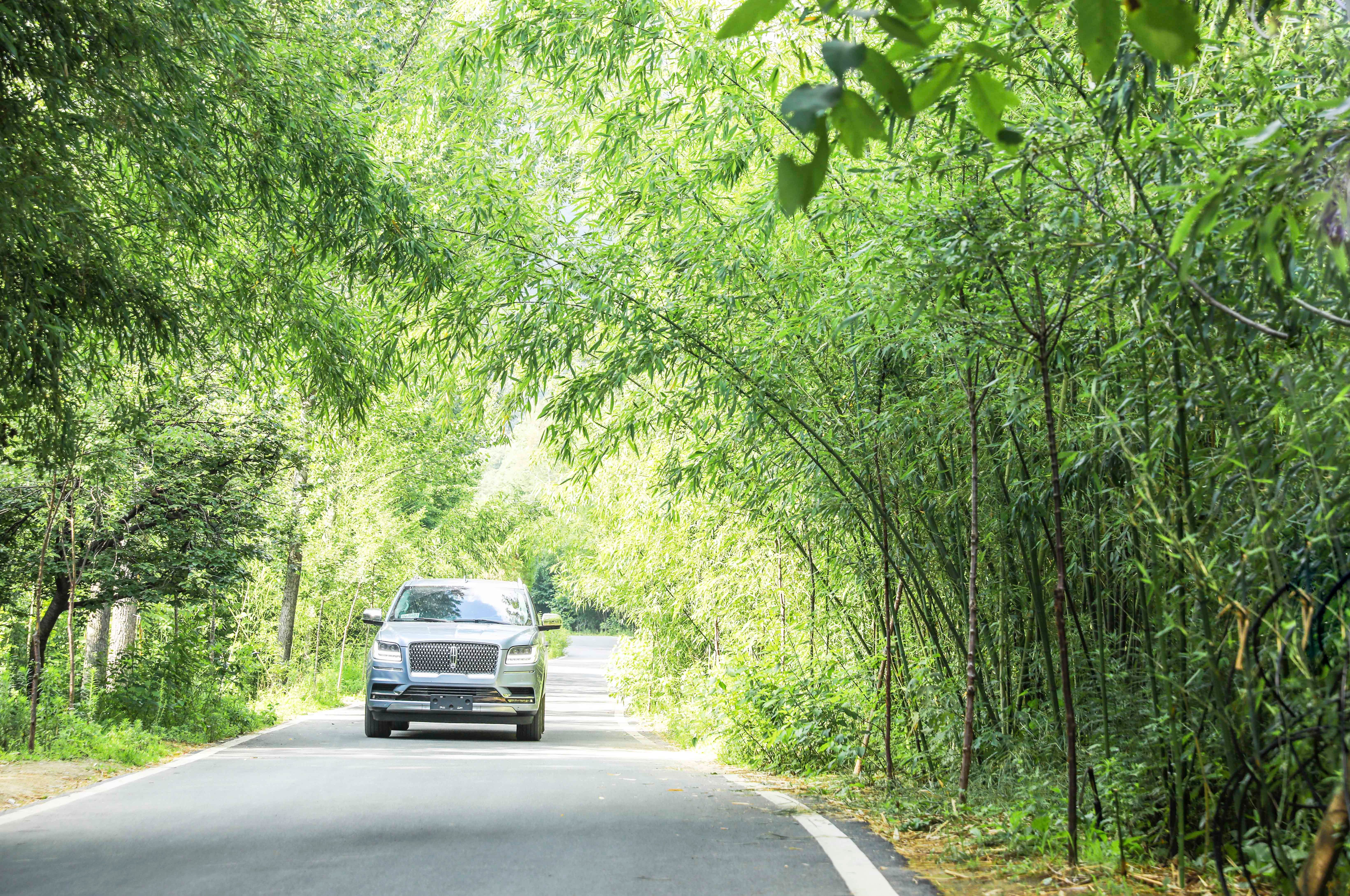 洛阳|和闺蜜去洛阳这个宝藏景区，景色美丽太出片，关键价格还不贵