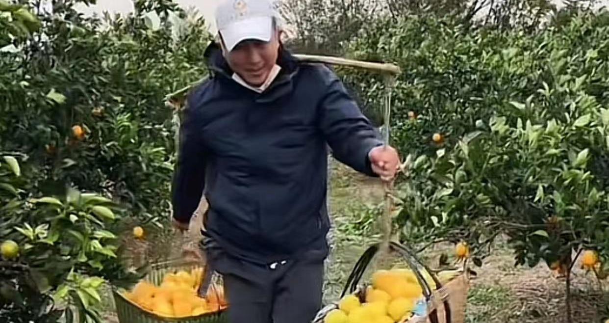 唐国强|唐国强与知名歌手握手后擦手，被指责嫌弃对方，网友：擦手正常