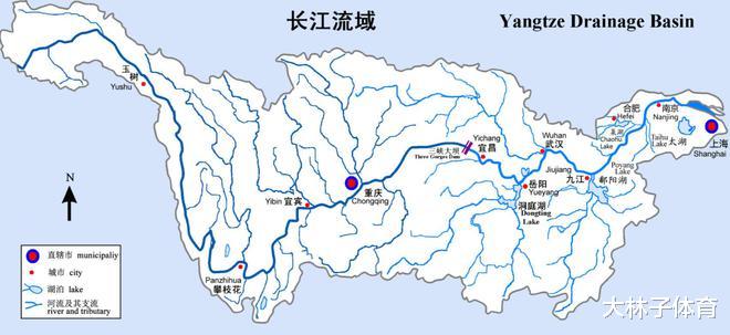 洞庭湖出现大量“鱼坑”,野生鱼群搁浅,为何只能看不能捞?