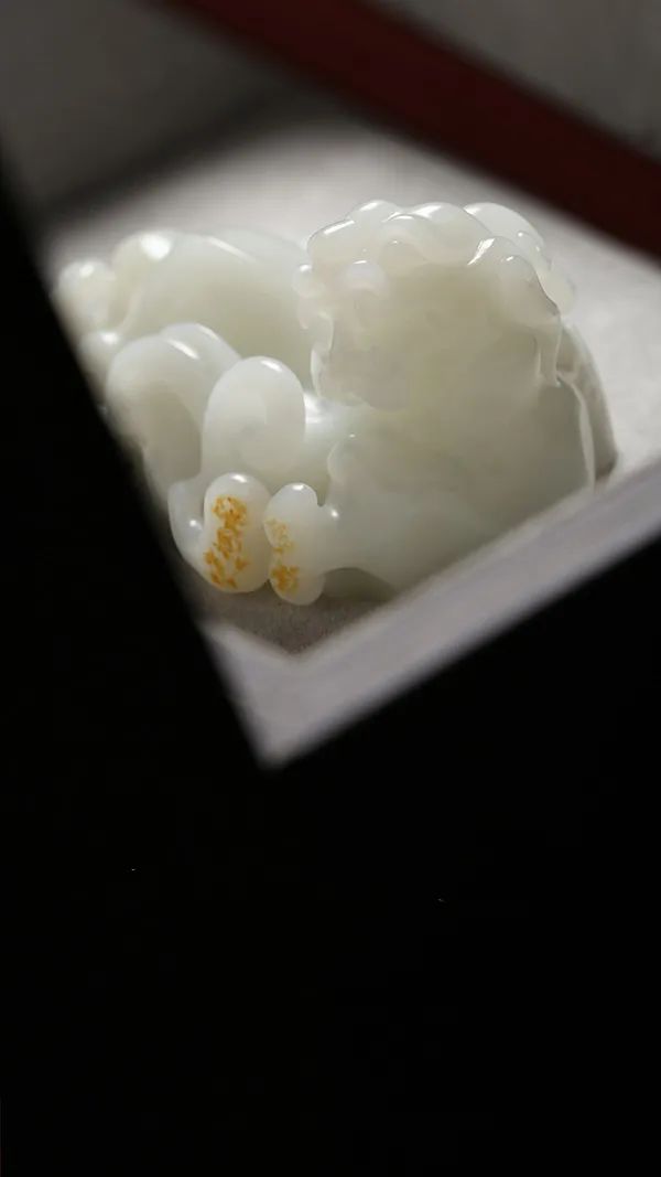 植树节|什么皮色下出好肉？你知道吗？