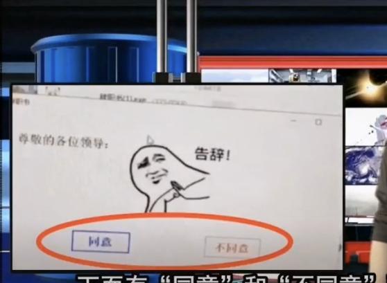 大学生|“娘娘应该在宫里”，00后大学生辞职申请火了，领导看了无言以对