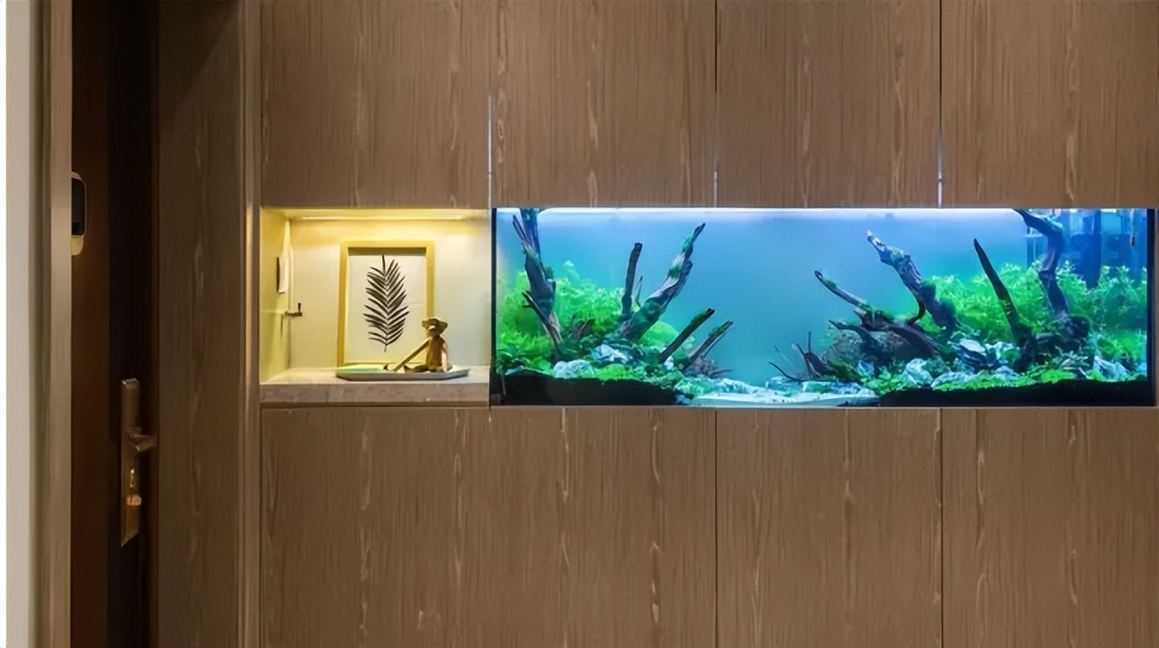 60㎡挤四代人，厕所当厨房？却拿30万的空间放3块钱1瓶的矿泉水