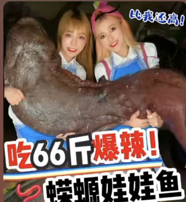 网红提子鲨鱼事件后续,警方确认为保护动物,或将面临刑事责任