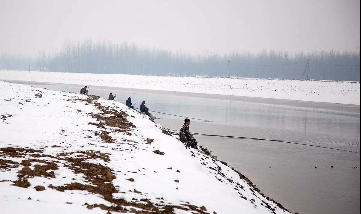 降雪|为什么说冬季下雪五不钓,看完这一篇你就知道了