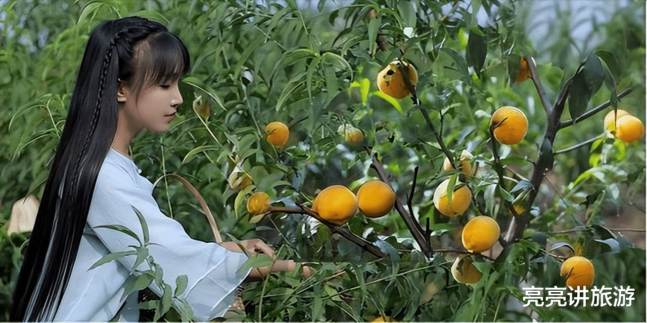 古镇|时隔一年,重看“李子柒”的庭院,才发现,那里仍是“世外桃源”