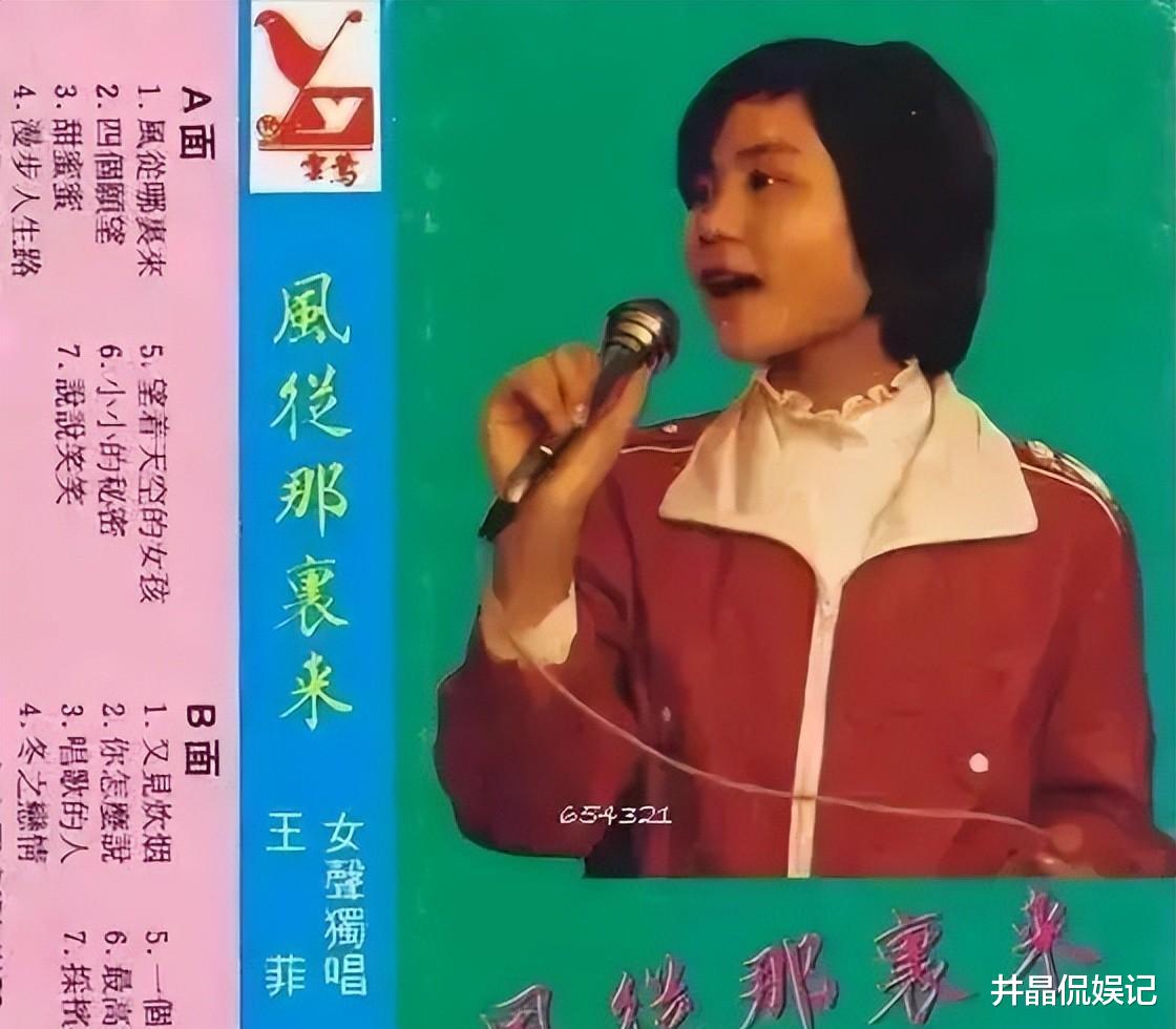 王菲|一代天后的传奇人生,王菲究竟有什么魅力