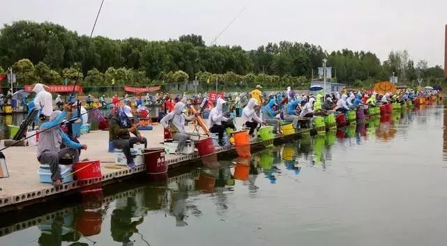 月亮|雨后、早起、夜钓就会钓好鱼?只有正确的选择时机才是爆护的前提