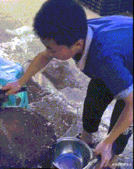 肖央|“筷子兄弟为什么就火了肖央一个人?”因为王太利是老板啊