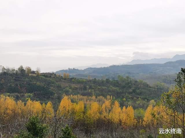 |这座山头上的神庙，开车就能上去，我第三次来这里了