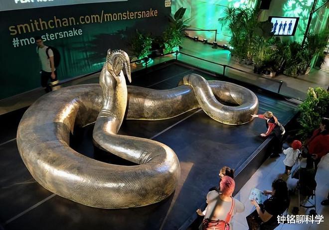 6000万年前,地球一次高烧孕育史上最大的蛇,形成原因或再次出现