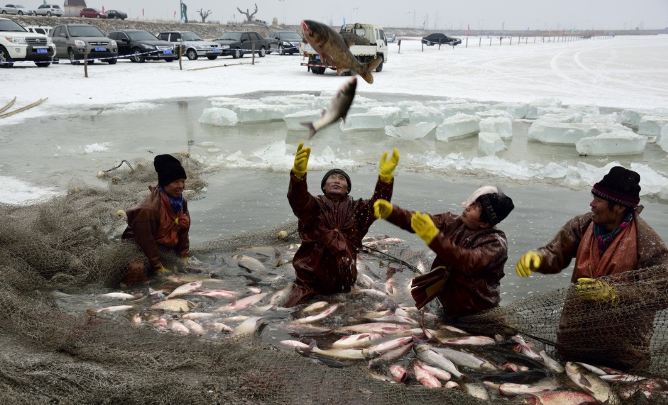 旗鱼|来盘锦市值得游玩的几个景点,风景宜人,欢迎前来游玩