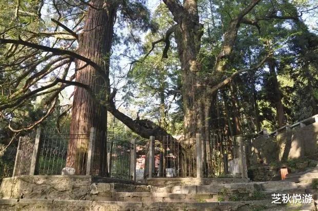 杭州|庐山必去的几个景点有哪些?游览这10处,领略这座名山的风采