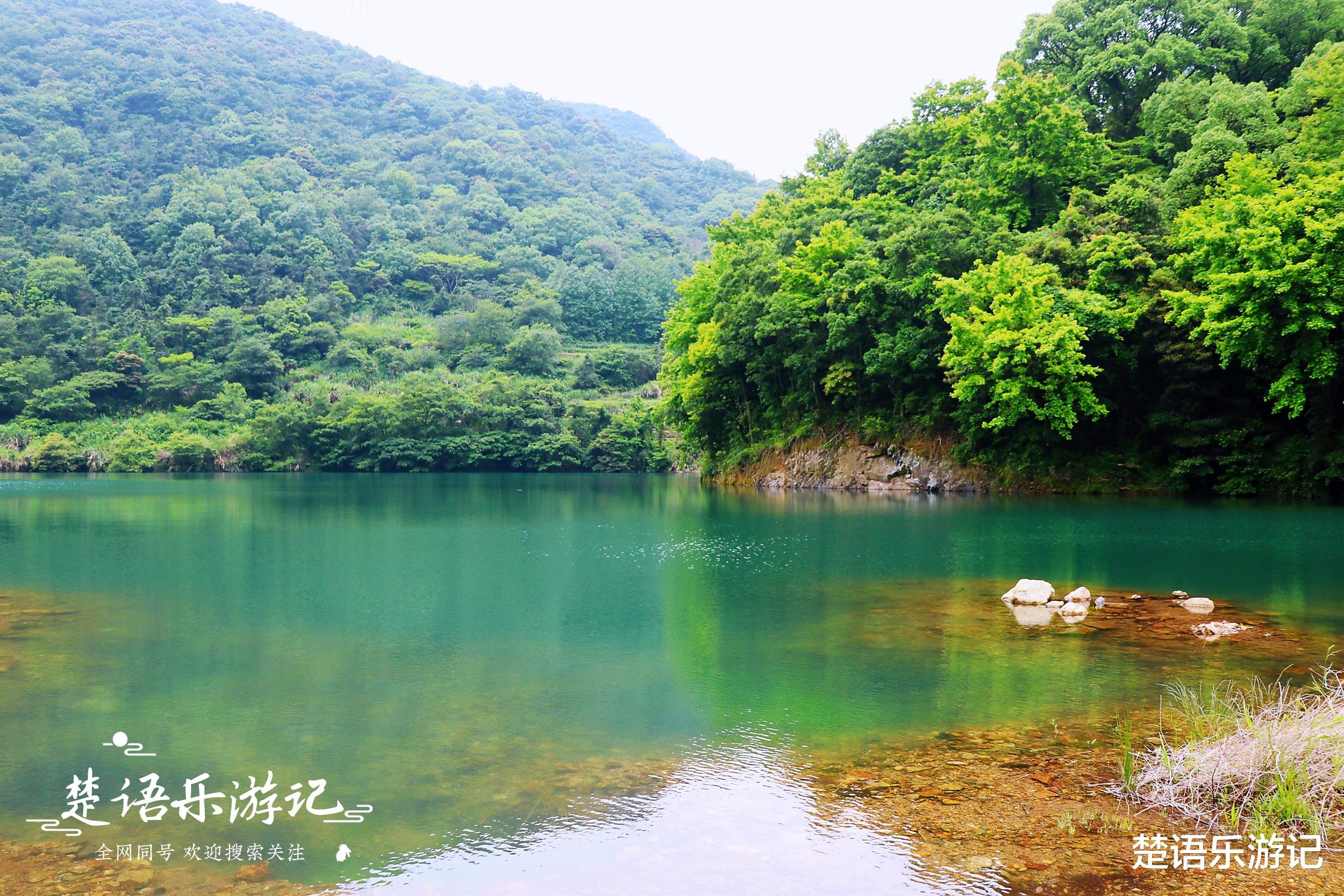 清远|宁波北仑慈东村的三个水库,个个绿如翡翠,成为绝佳的露营胜地
