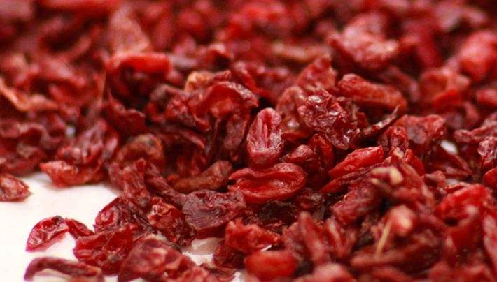 耳鸣|“山茱萸”与“吴茱萸”，名字相似功效大不同！