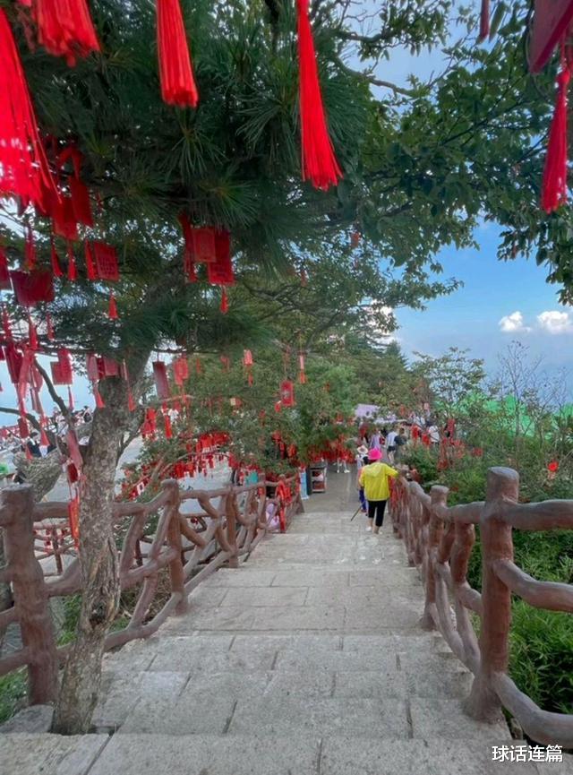 惊喜!全红蝉哥哥上山请愿,手写名字祝福语,全家姓名终揭晓