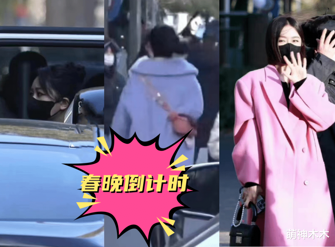 杨紫|春晚最后一场彩排来啦！杨紫丸子头包裹严实，赵丽颖紫色大衣抢眼