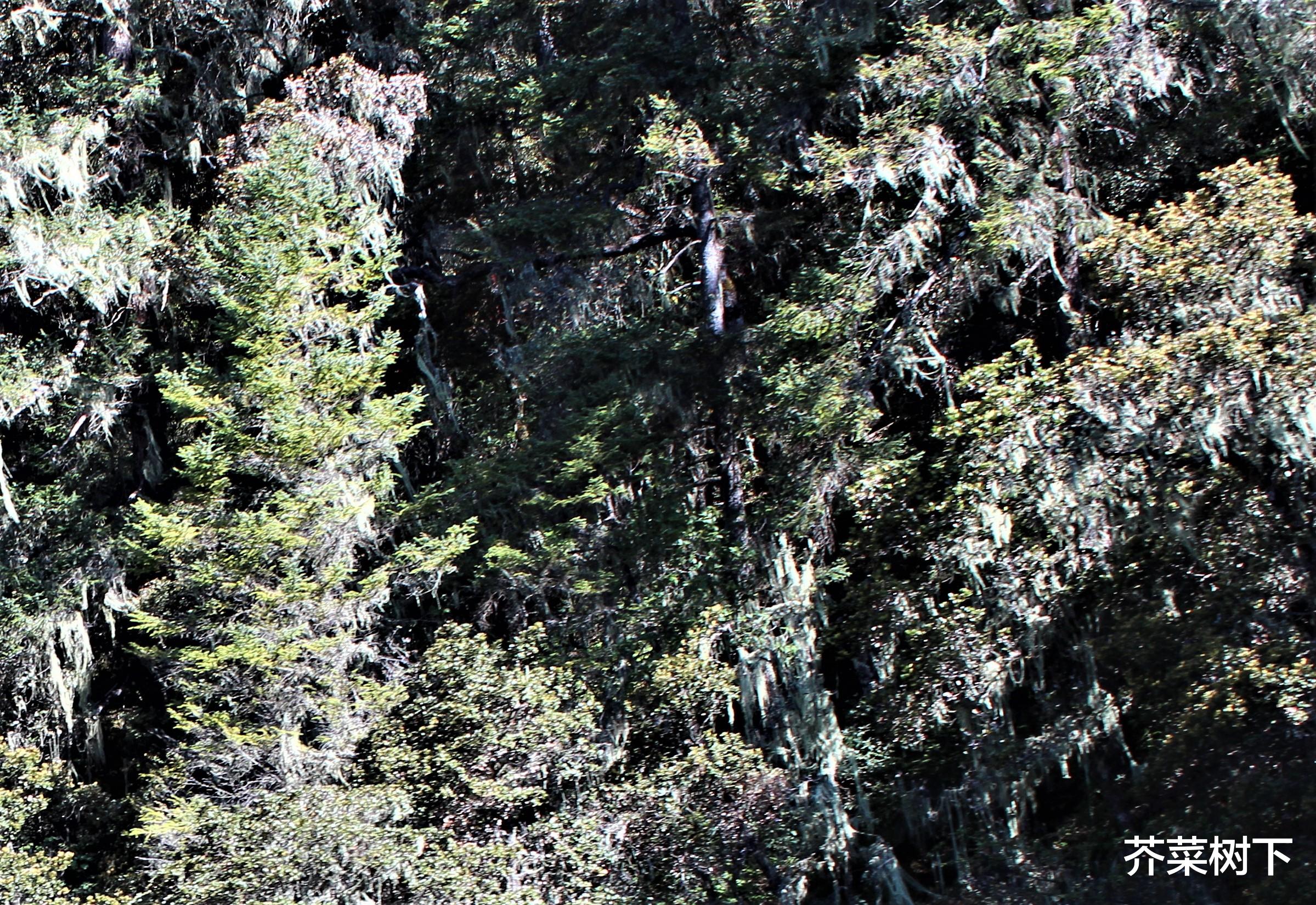 |人在职场，别给自己太多限制