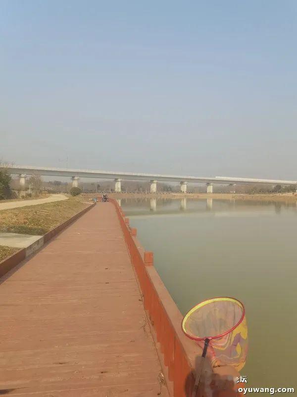 麝香|生鲜虾饵麝香米,板鲫喜欢得不行