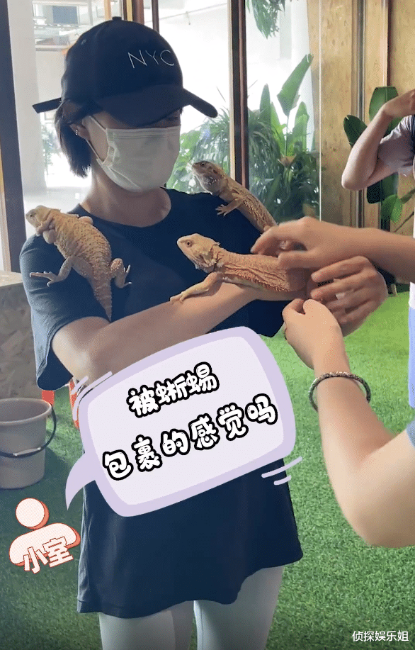孙俪|邓超孙俪游动物园，娘娘肩扛蜥蜴蛇缠脖子，超哥吓得起鸡皮疙瘩