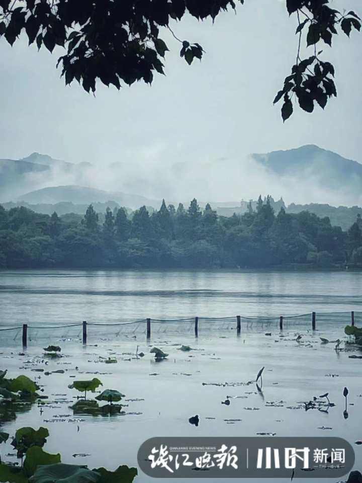 |烟雨西湖美得不像话！假期最后一天，你在哪里逛呀