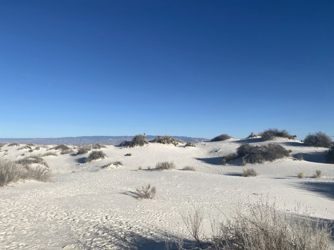 国家公园|新墨西哥州 - 不要错过的一片魅力之地