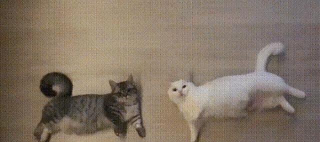 预防癌症|有焦虑、抑郁倾向的人，适合这10种工作，看看有没有你喜欢的