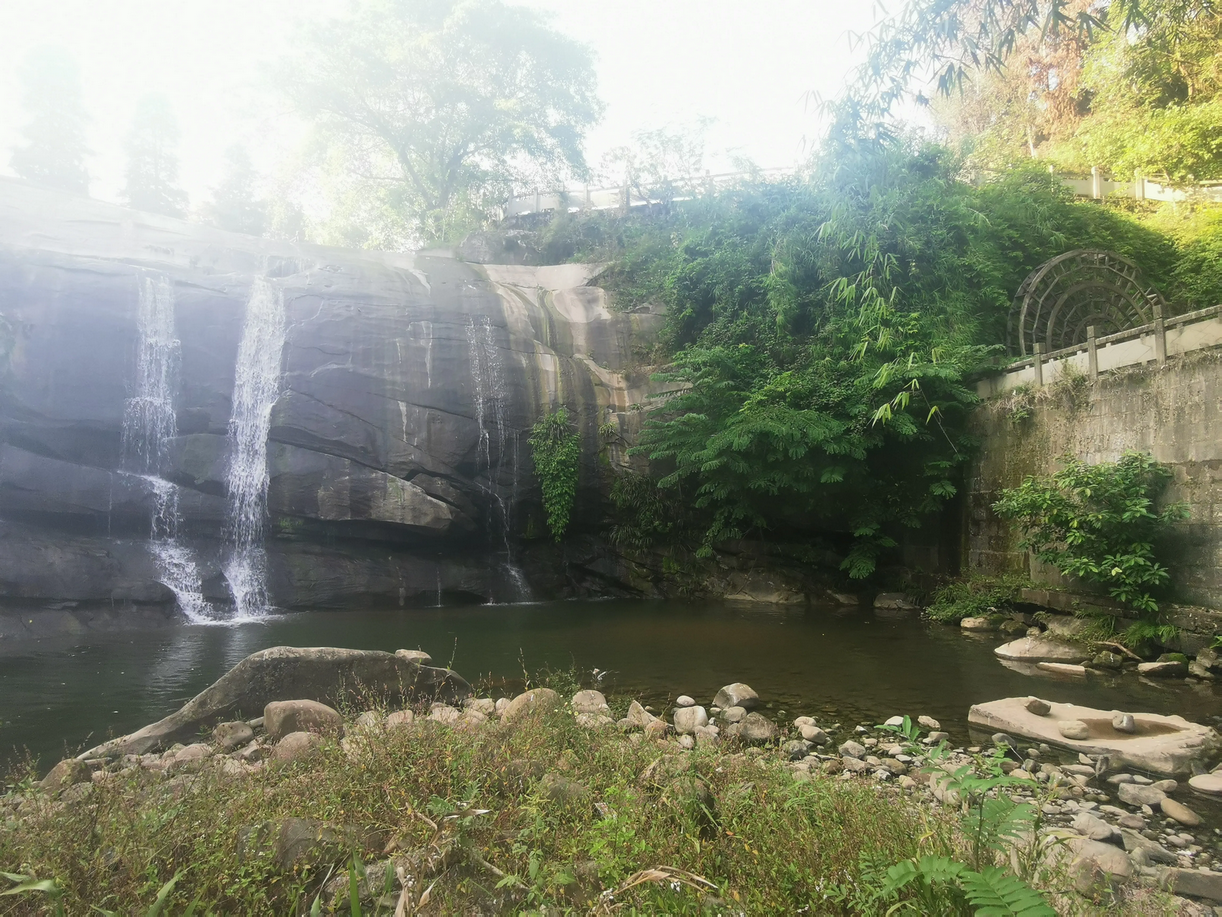 重庆|药工现身, 重庆钓友自留地被下药, 深潭生态灭绝, 寻肇事者希望渺茫