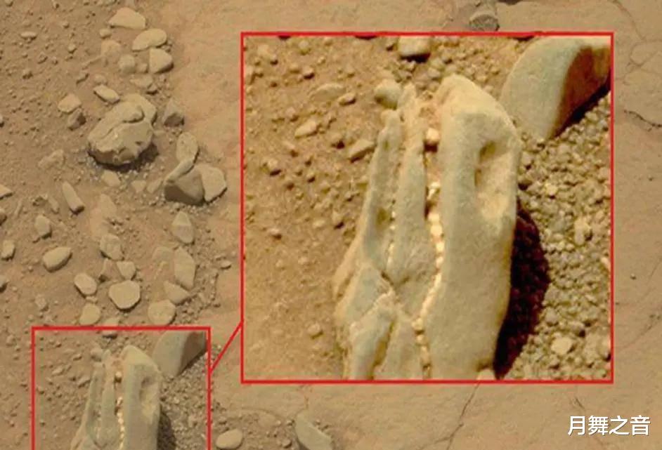 火星发现恐龙古化石?美国“好奇”号传照片火星疑现未知生物骨骸