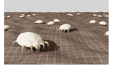 床垫上那层膜到底要不要撕掉？很多人不懂，难怪床上螨虫多！