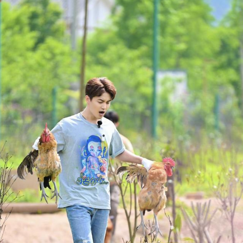 马天宇|与房车为伴，与山川为邻，这才是岁月静好！35岁马天宇的生活火了